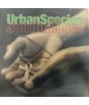 Incognito / Urban Species – Still A Friend Of Mine / Spiritual Love (VINILE 7")